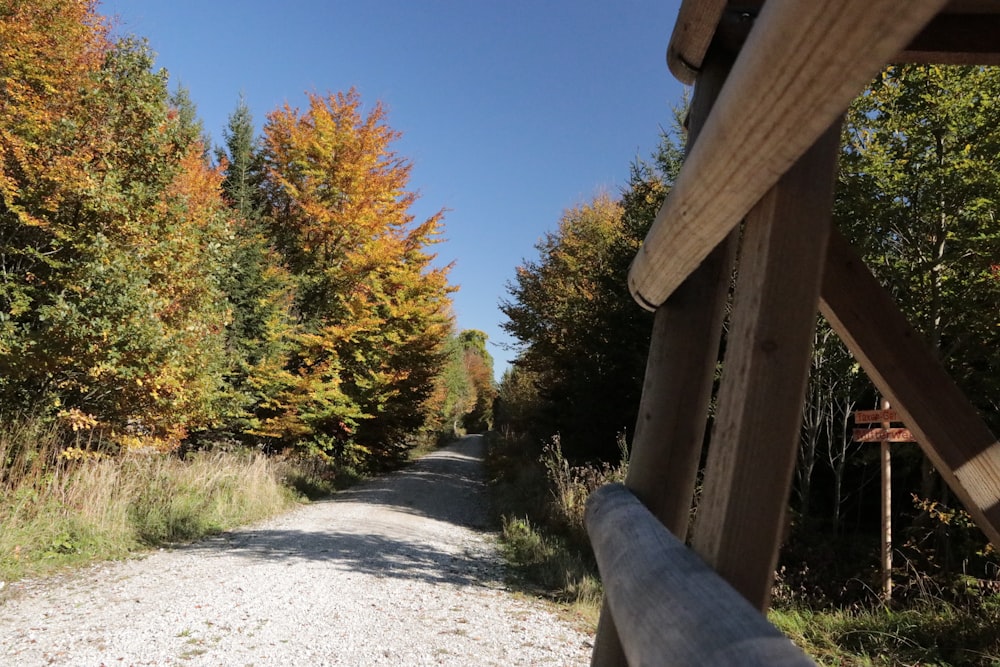 brown wooden fence near green and brown trees under blue sky during daytime