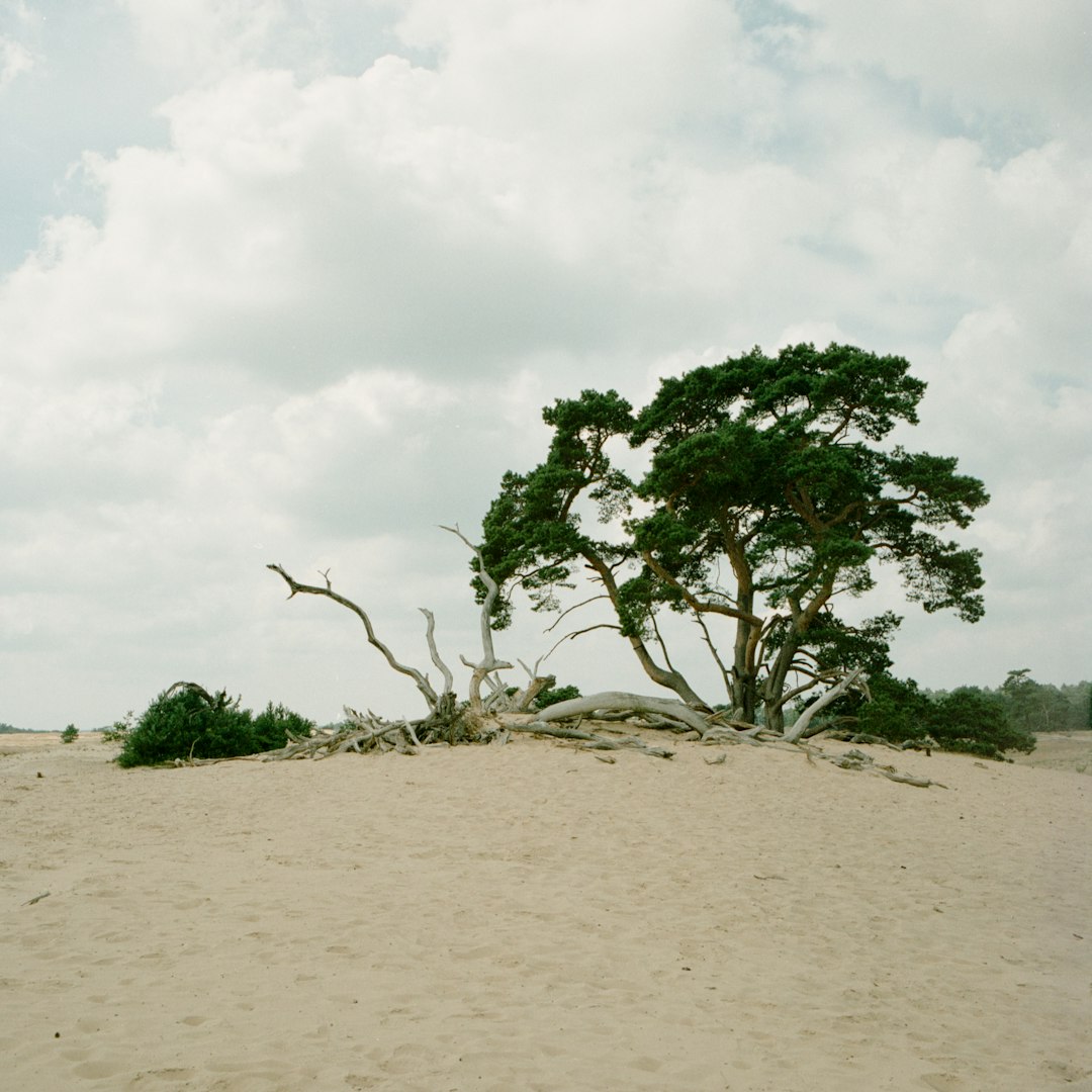 Travel Tips and Stories of De Hoge Veluwe (Nationaal Park) in Netherlands