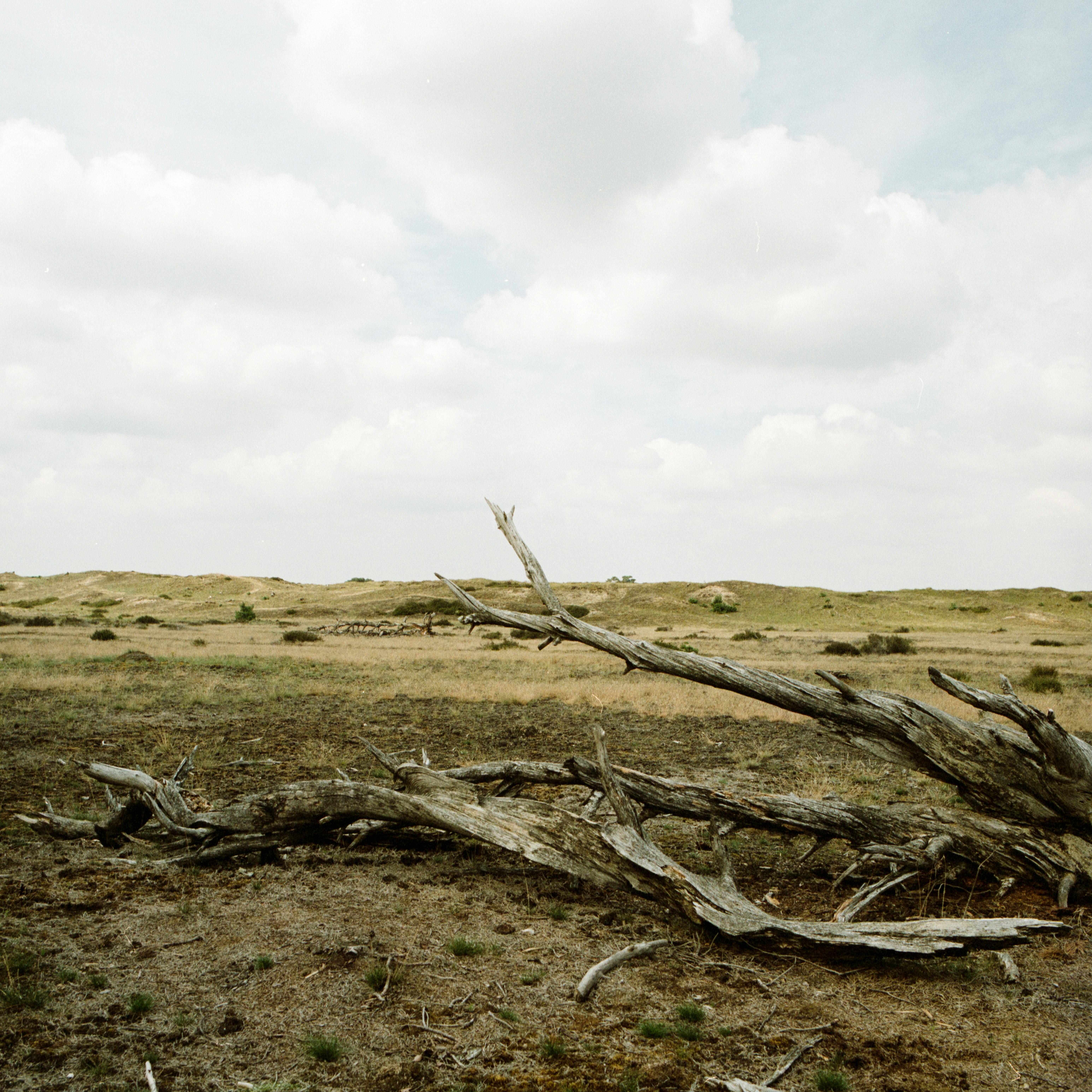 Photo by jeancarloemer