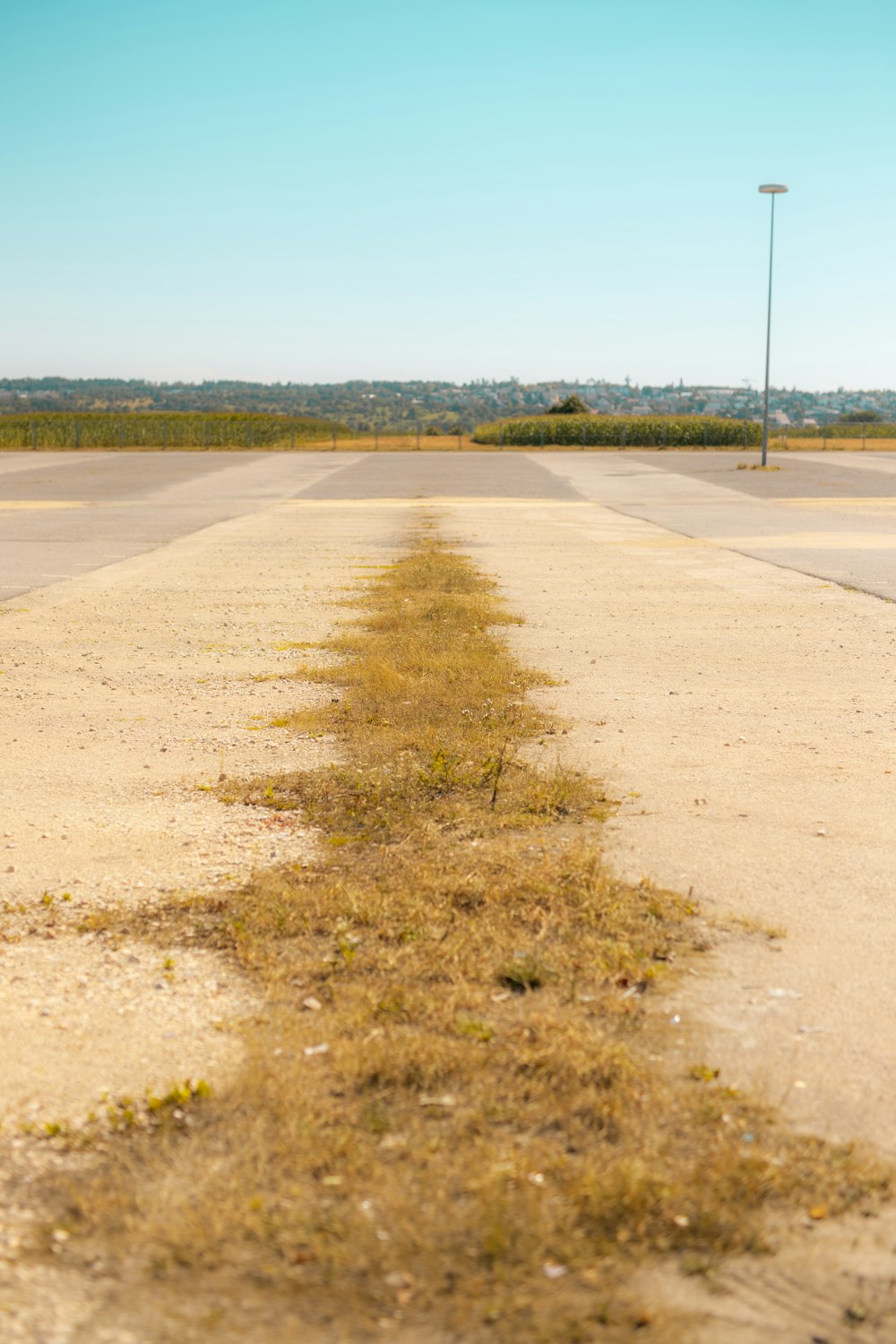 brown dirt road near green grass field during daytime