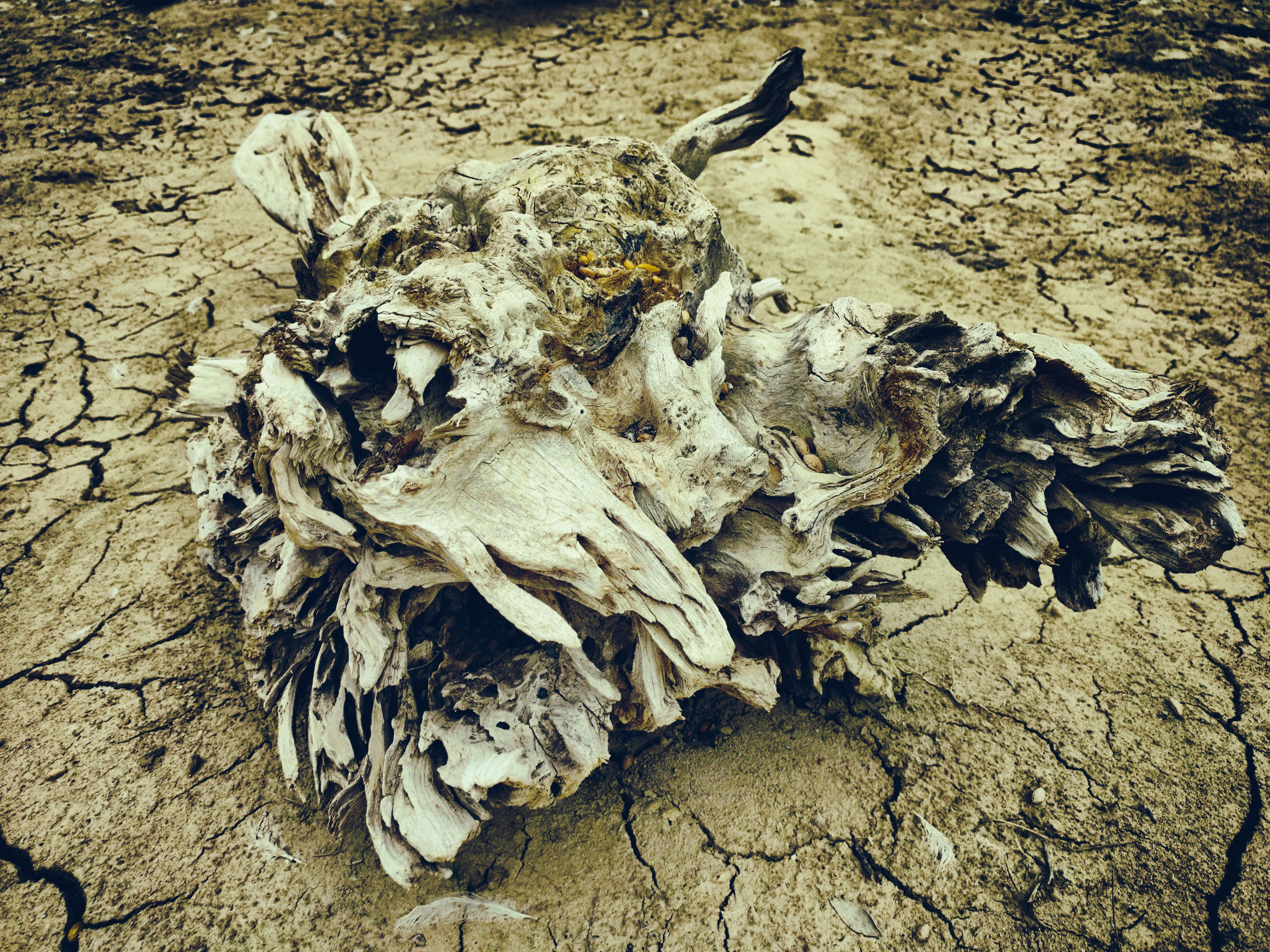 Test Node.js Microservice with stubs, The Sinon.js Library