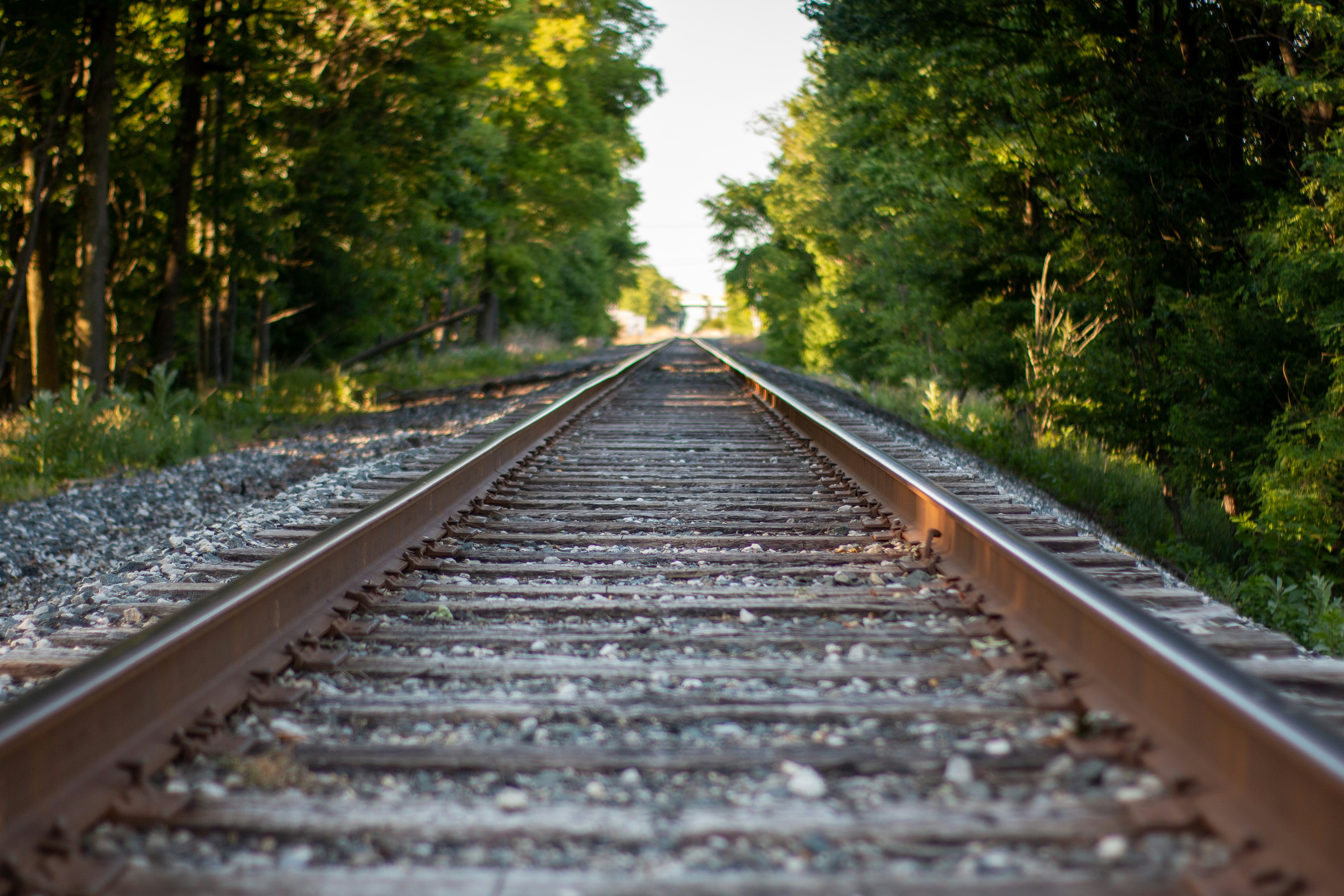 Photo by drkolomiyets