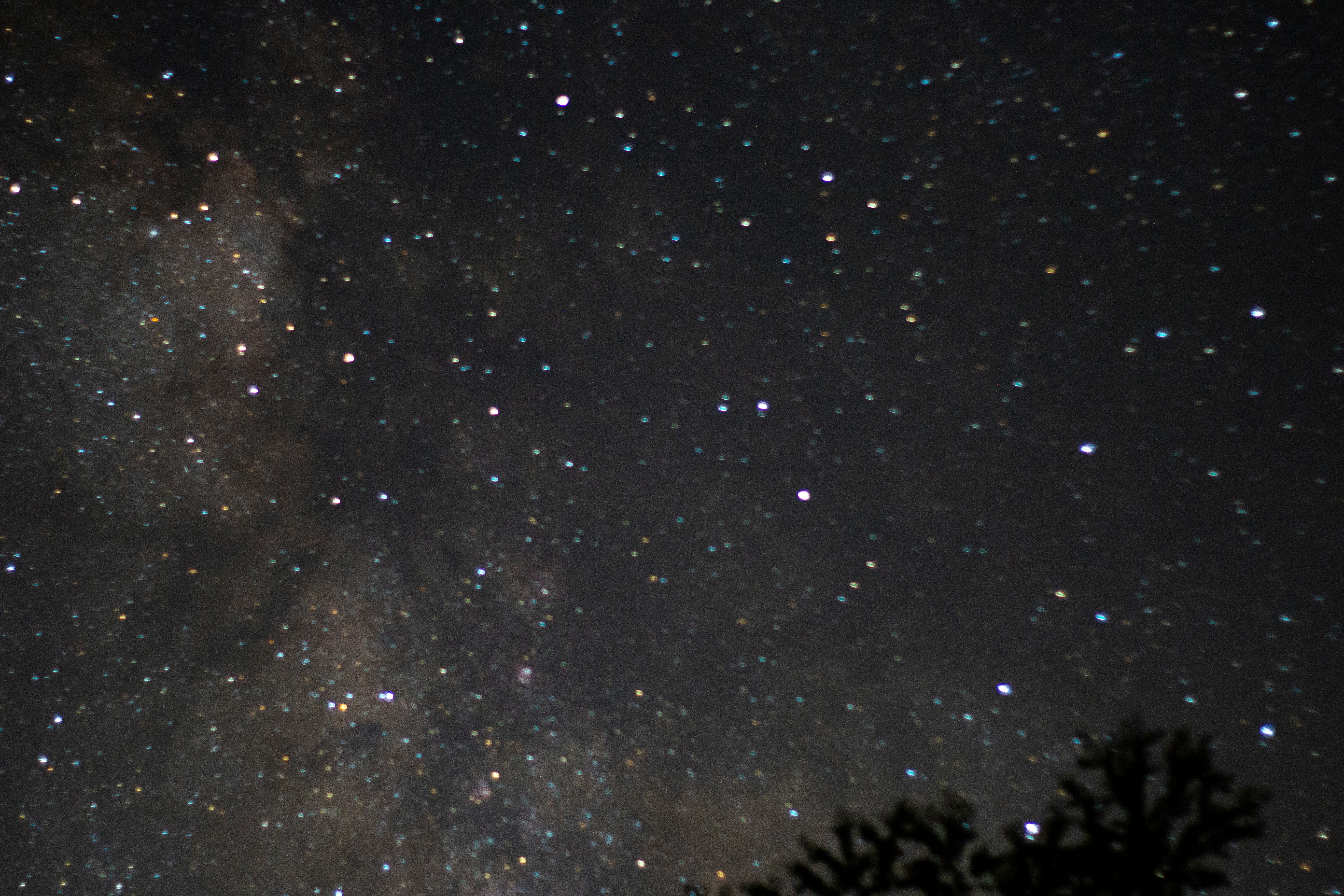 Photo by drkolomiyets