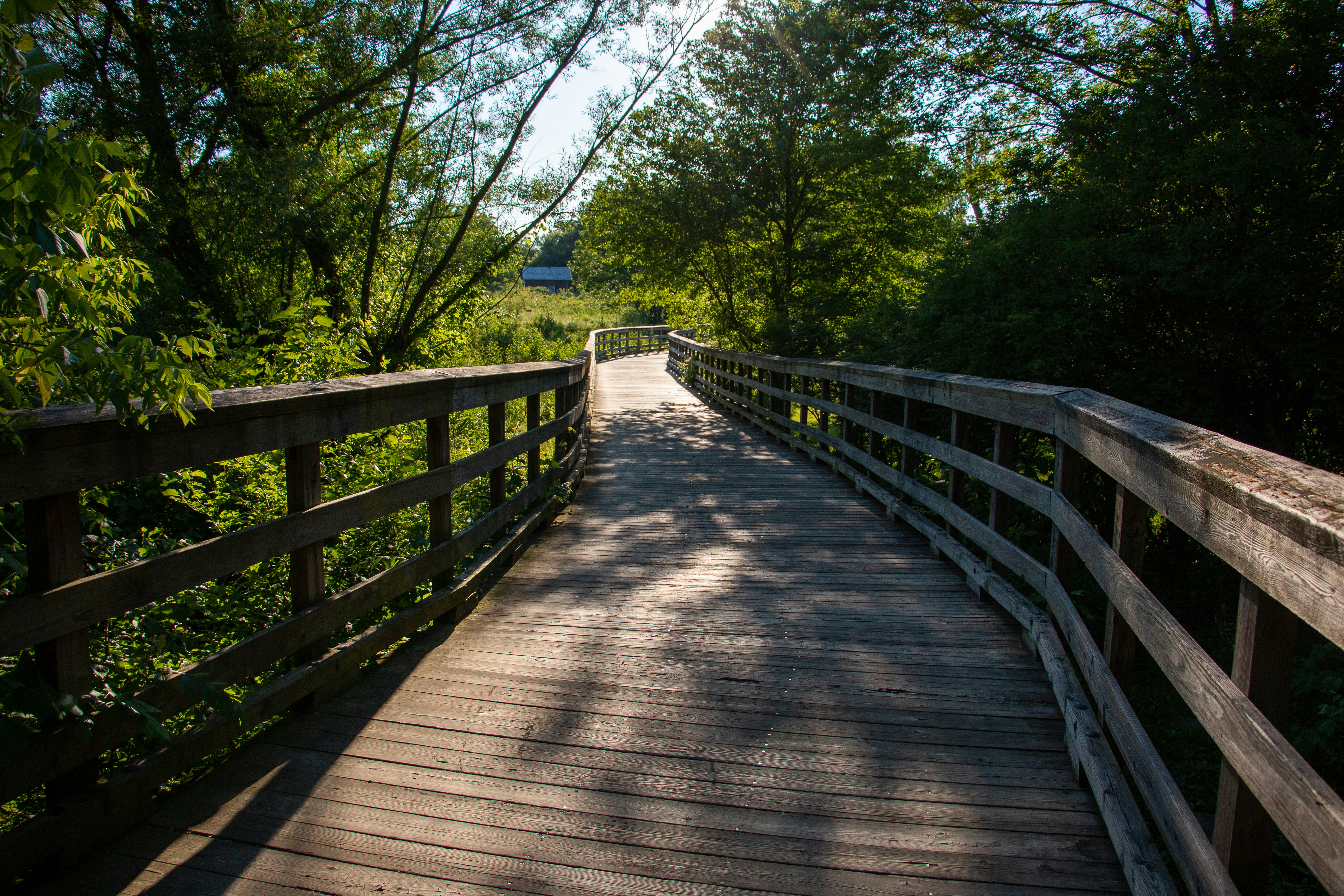 Photo by drkolomiyets