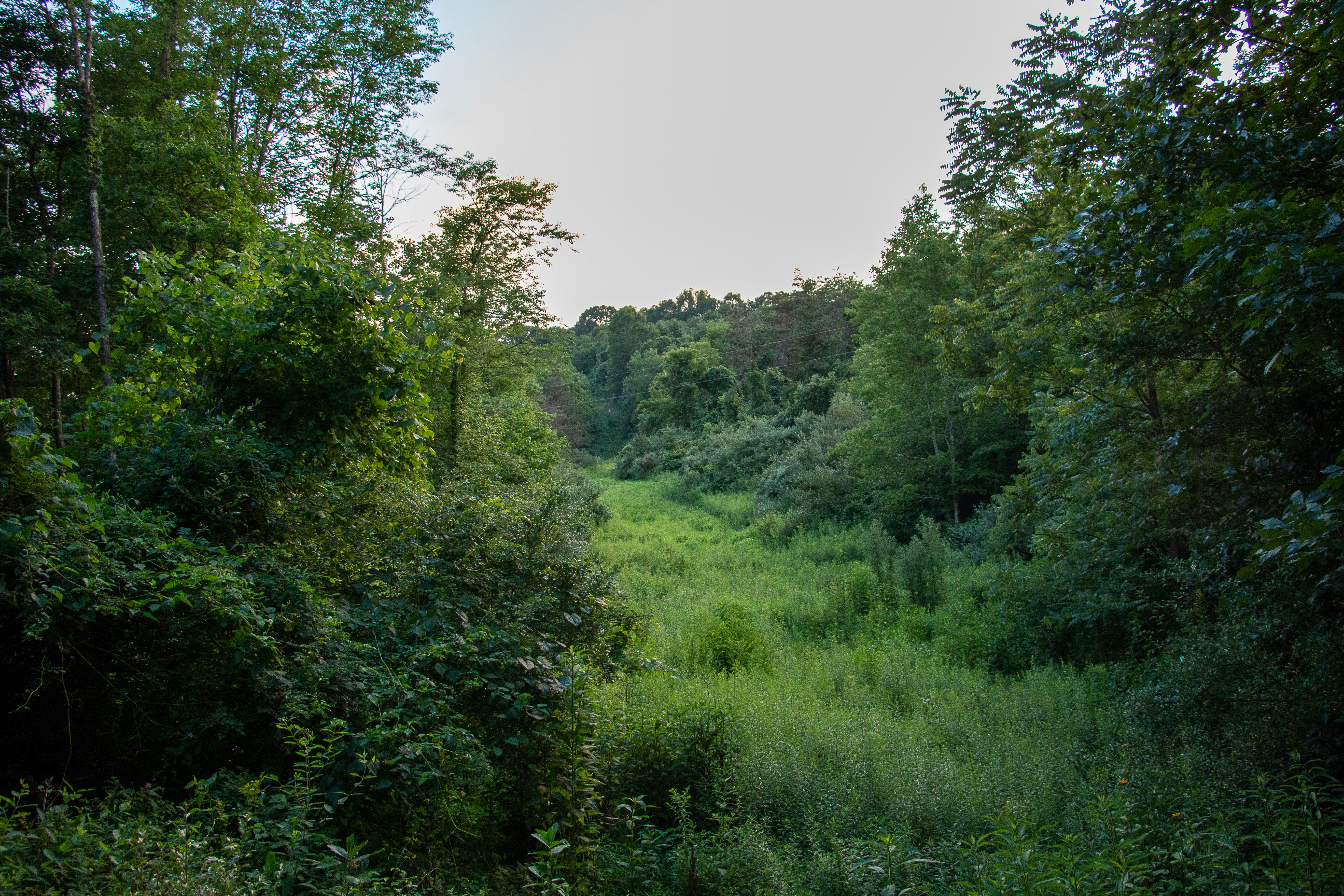 Photo by drkolomiyets