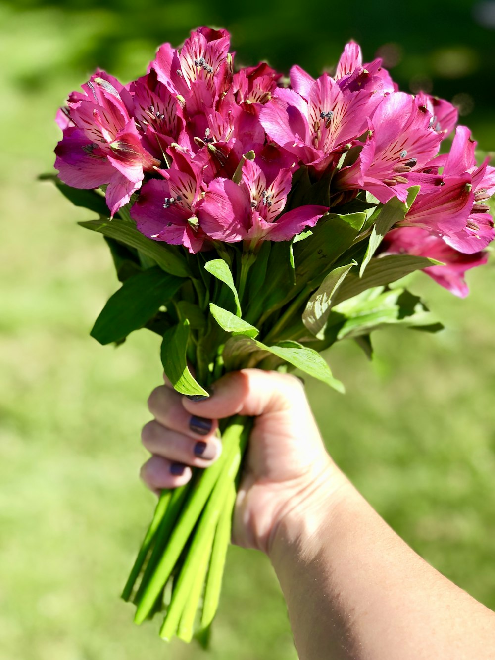 purple flower on persons hand