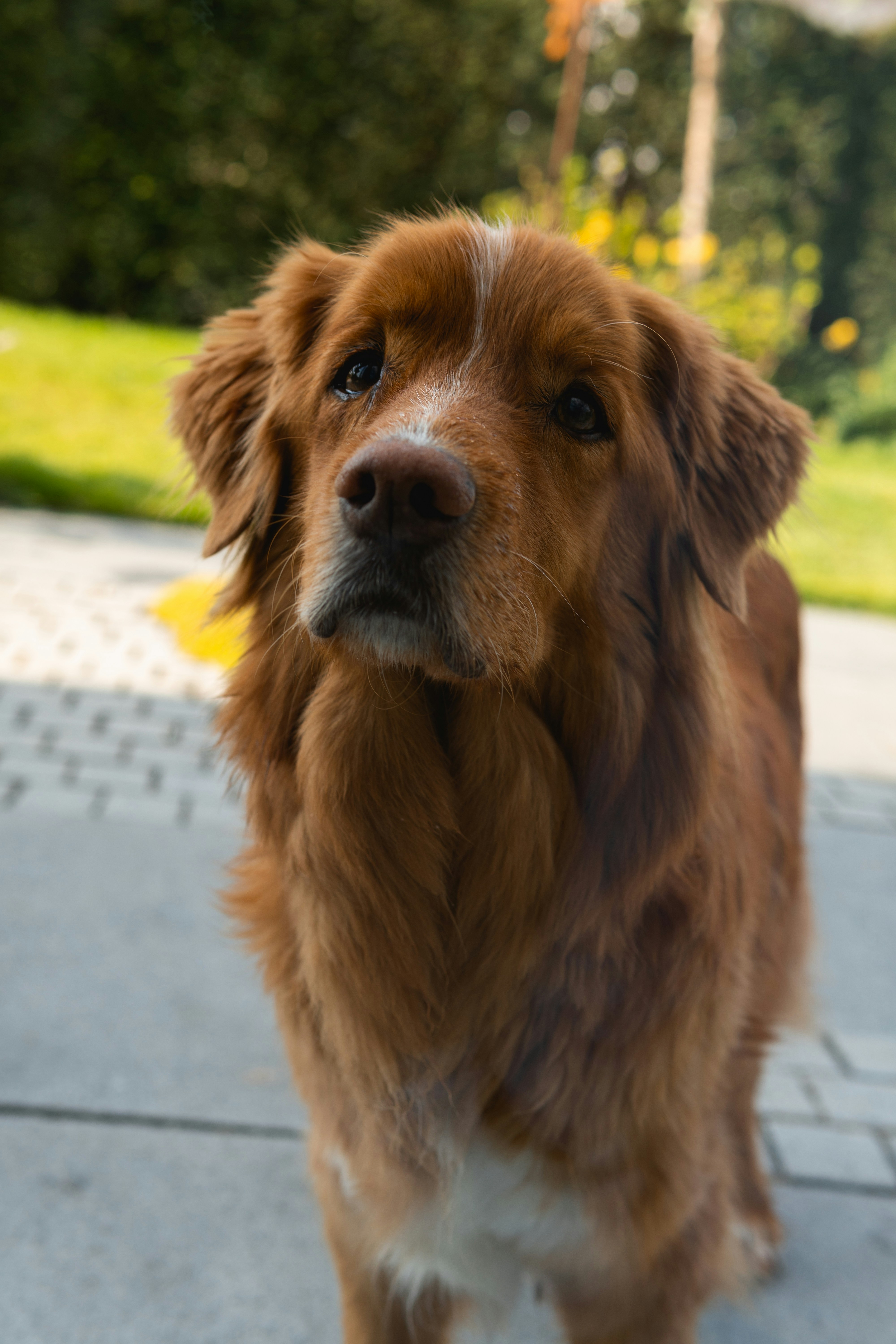 Photo by robingundlach