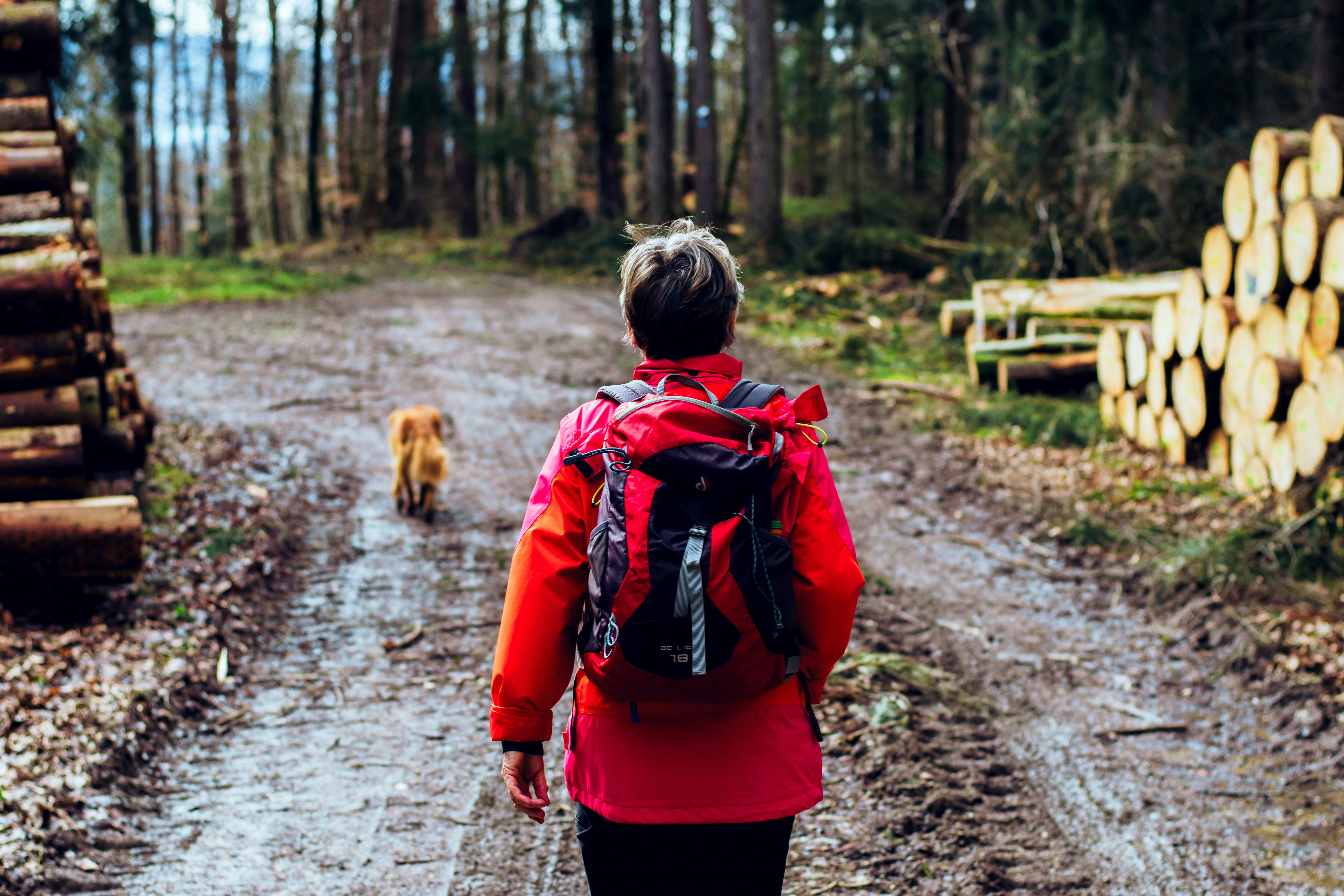 Photo by robingundlach