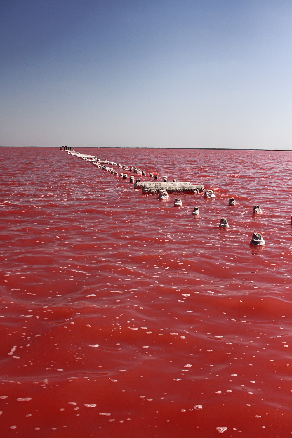 group of people swimming on sea during daytime