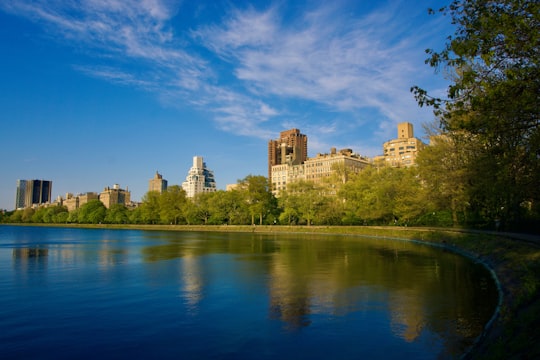 green trees beside river under blue sky during daytime in Central Park United States