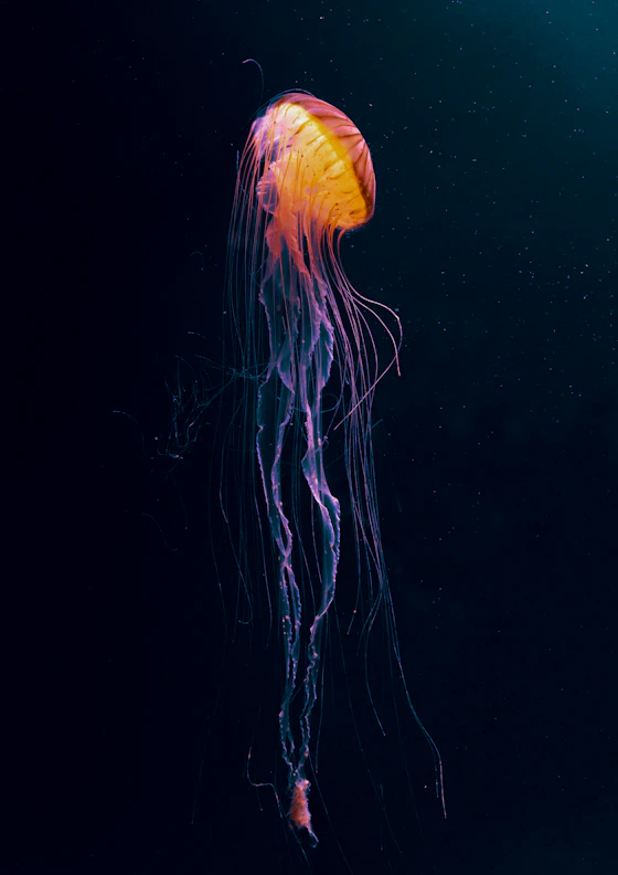 Production gallery image 2