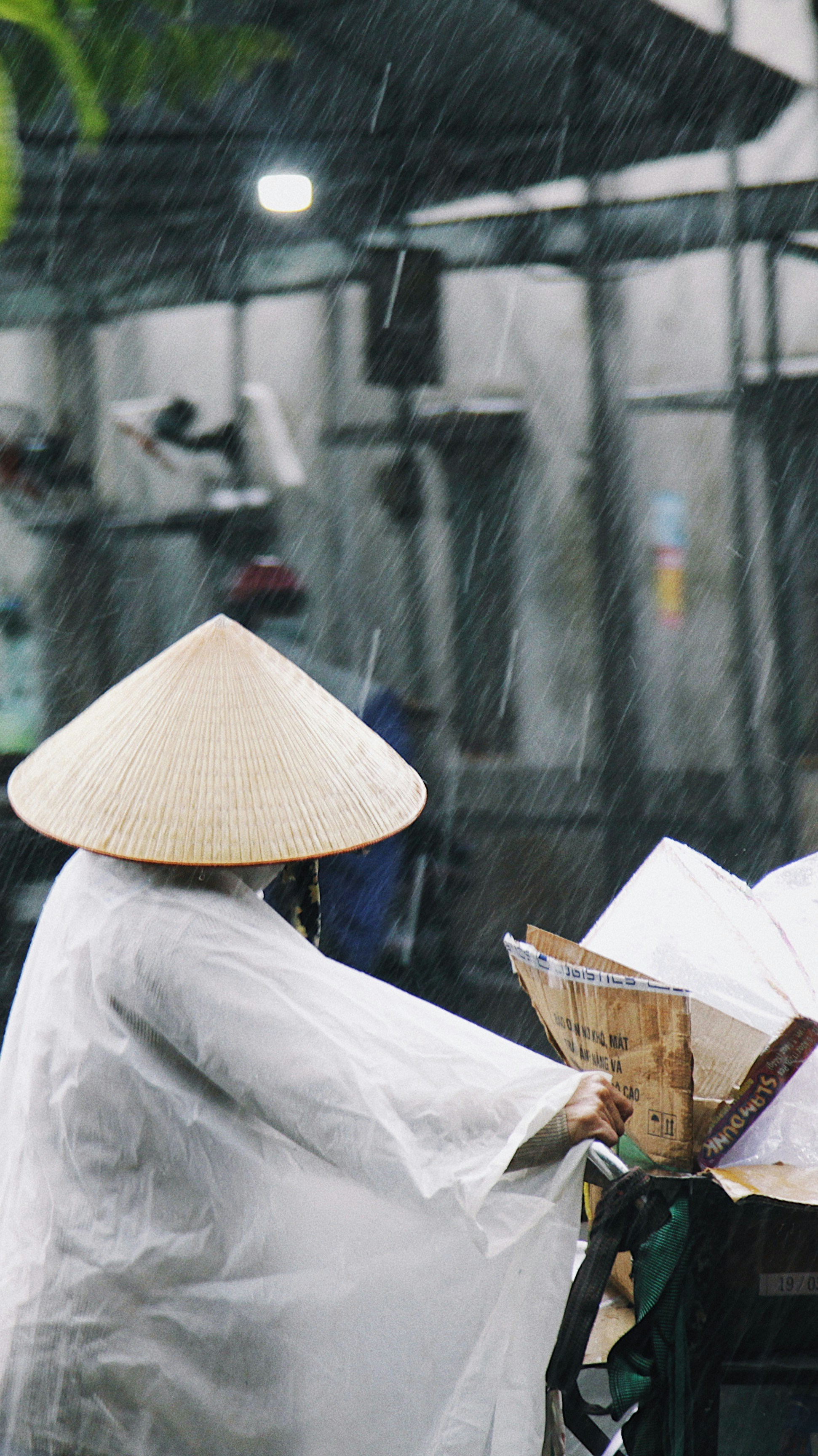 Photo by thuhoang0120