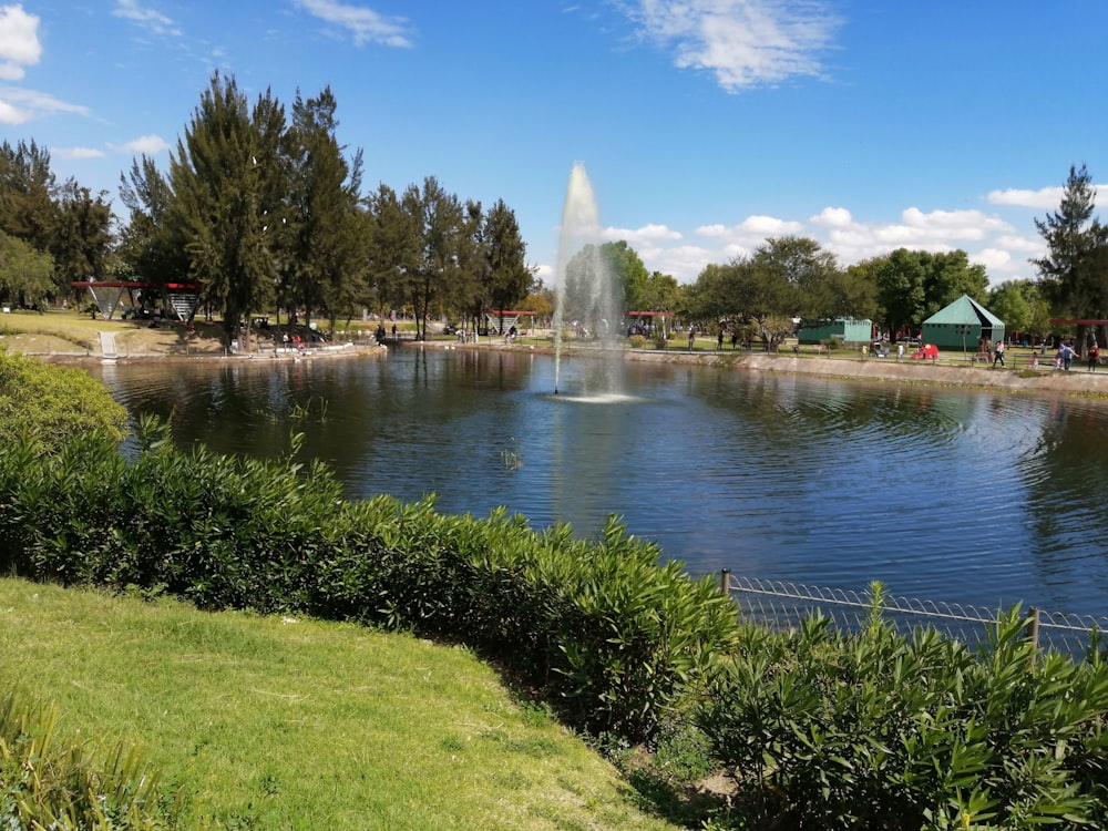 water fountain on green grass field during daytime