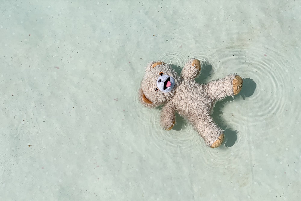 brown and white dog plush toy on white textile