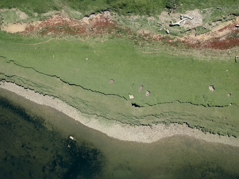 aerial view of people on beach during daytime