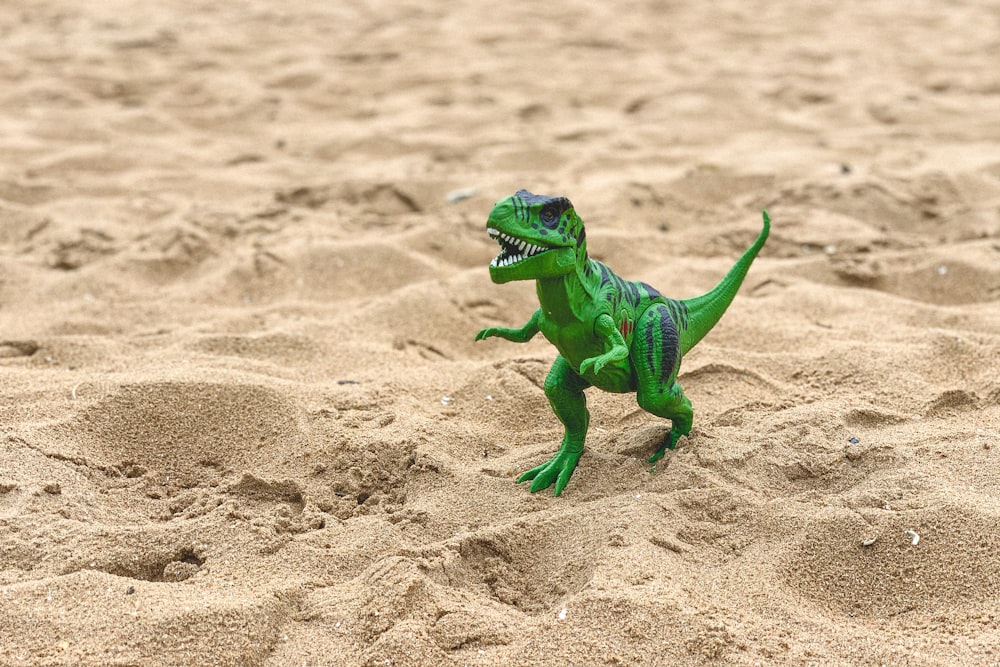 lagarto verde e branco na areia marrom