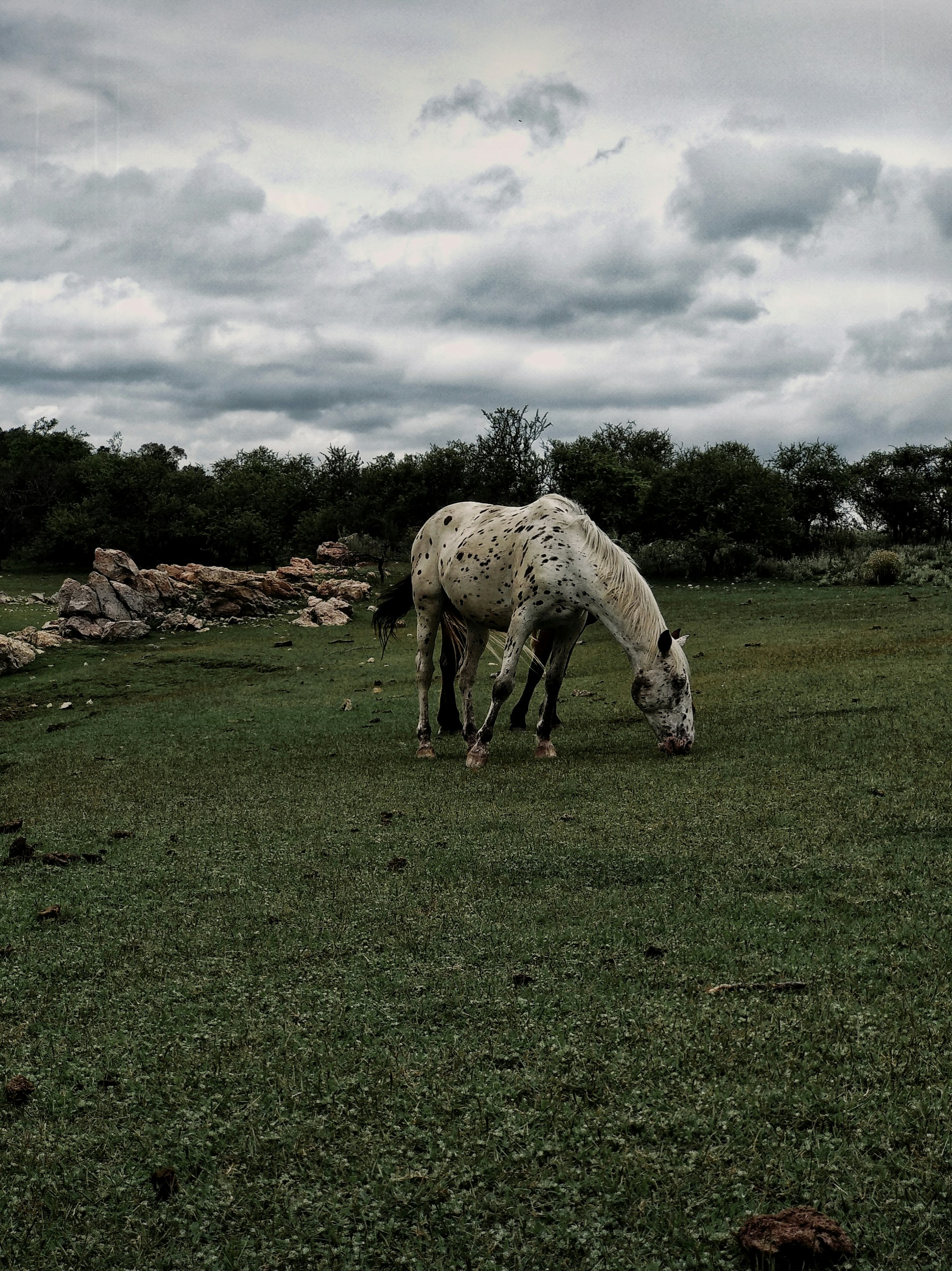 Photo by ivanstanley