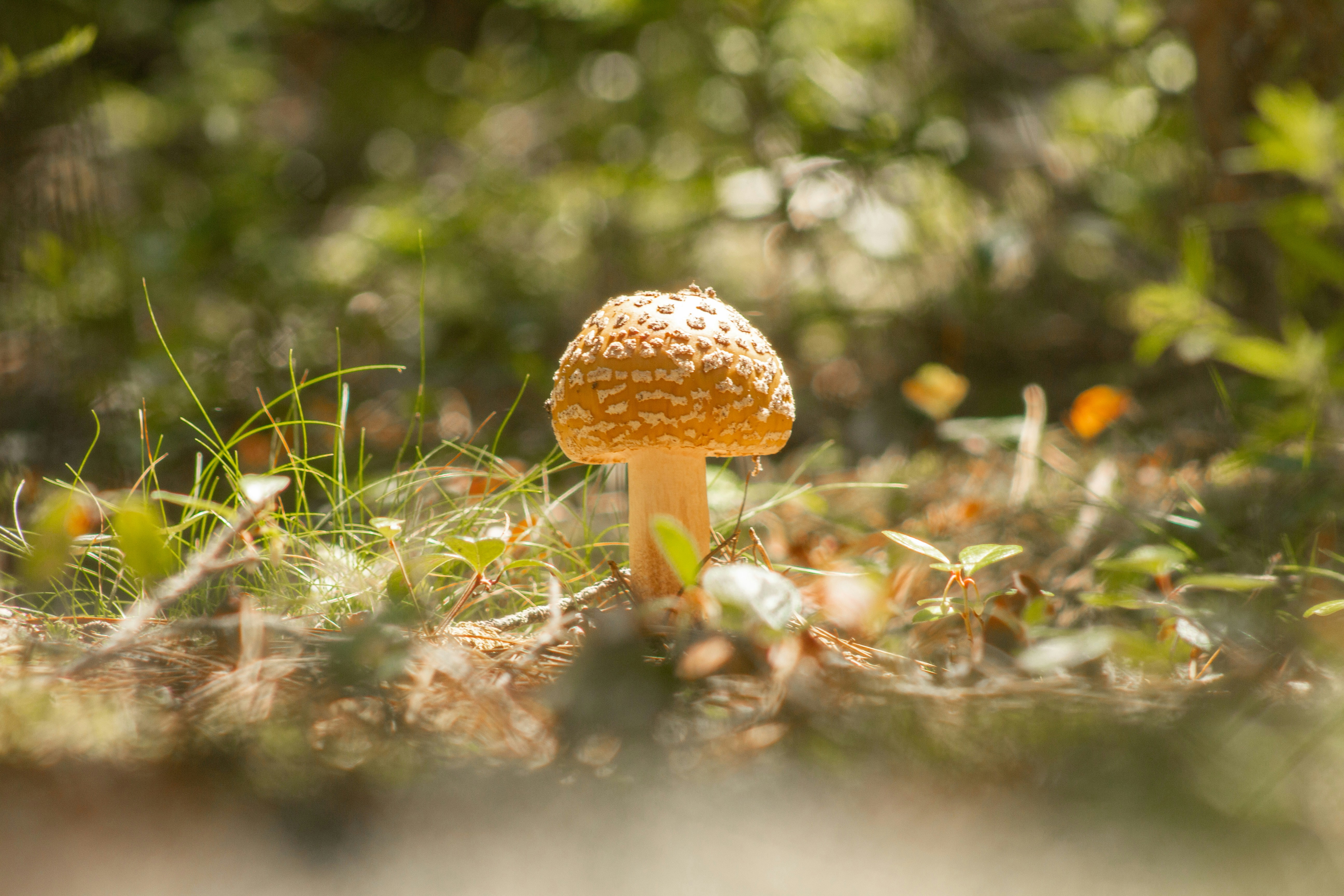 Photo by joyfulcaptures