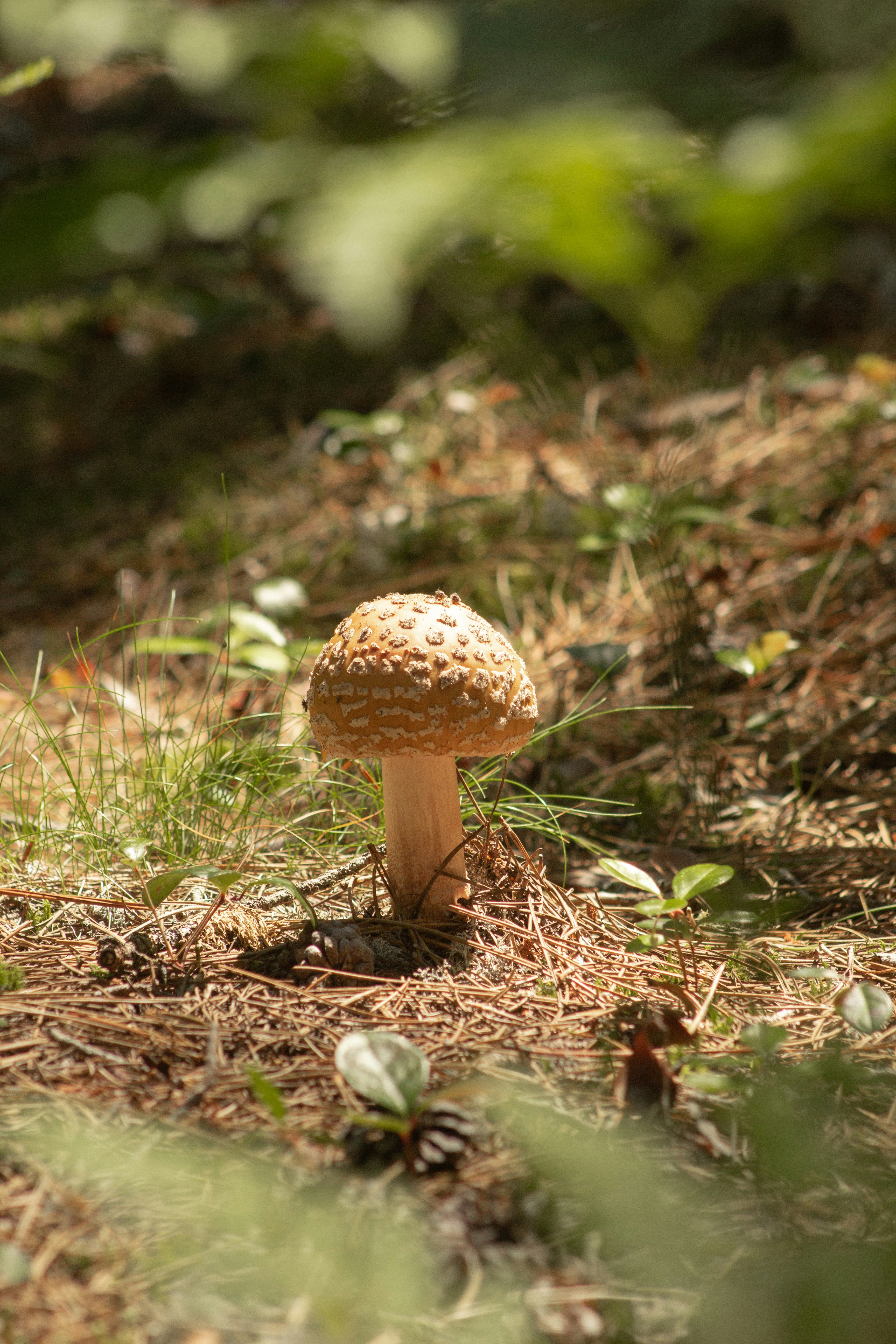 Photo by joyfulcaptures