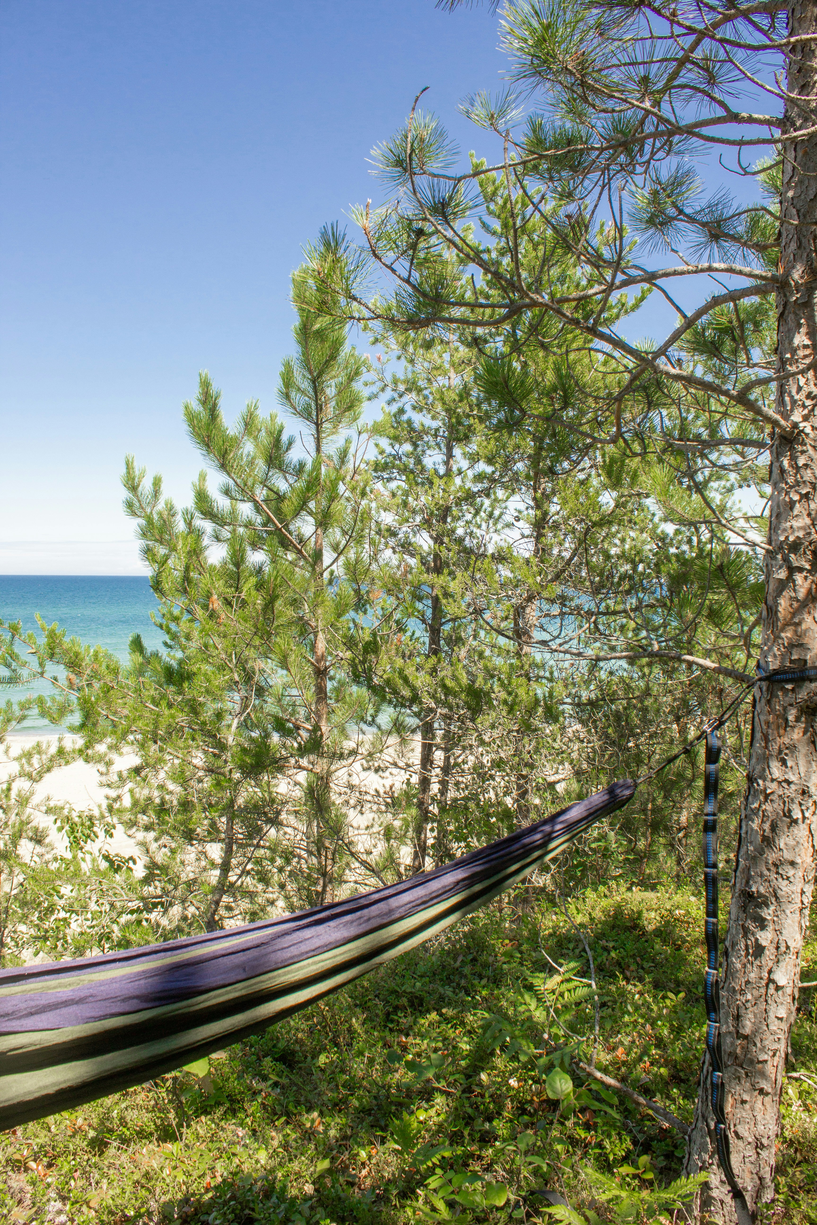 Cozy Camping Hammock