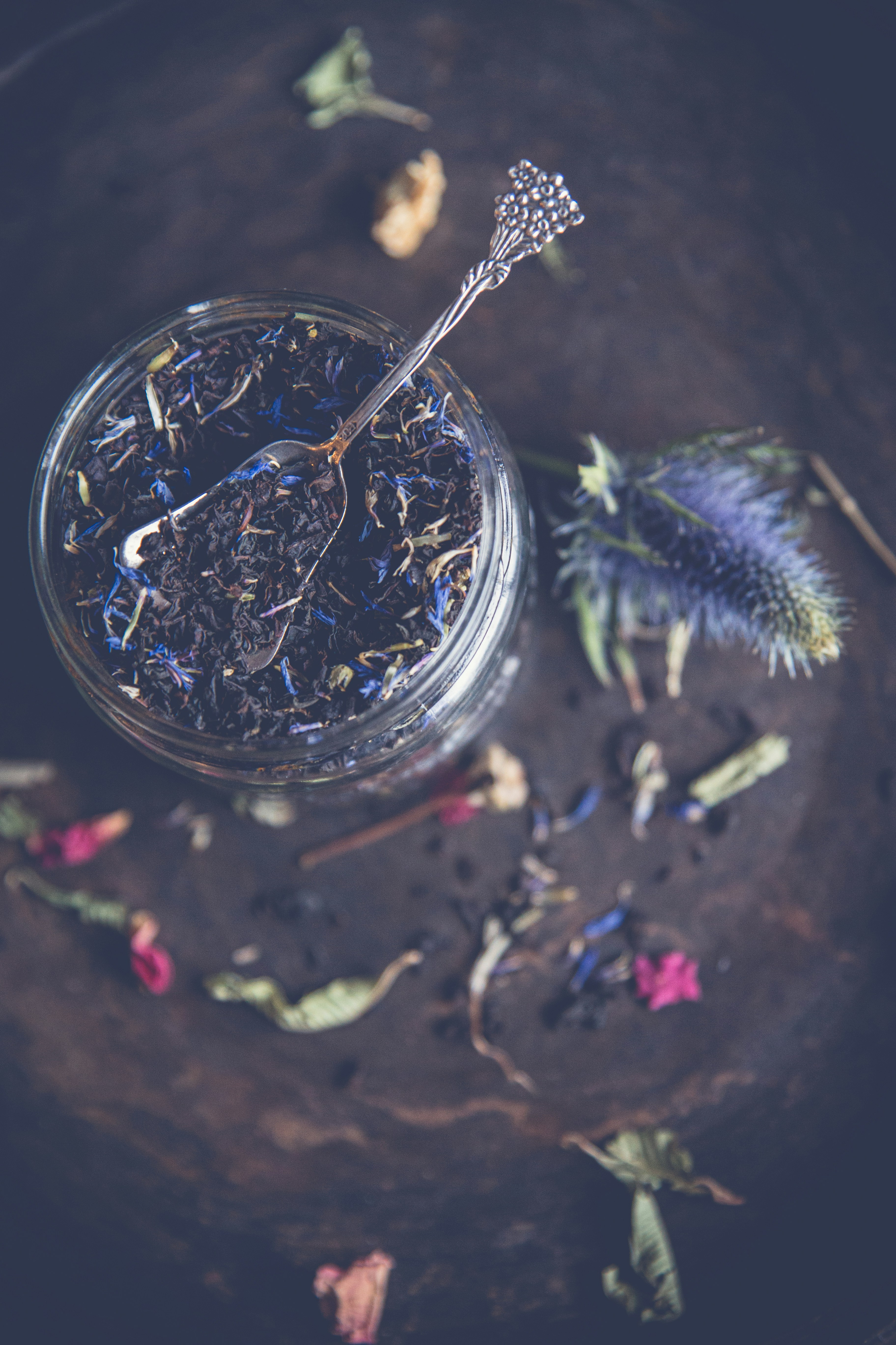 green and red plant on clear glass jar