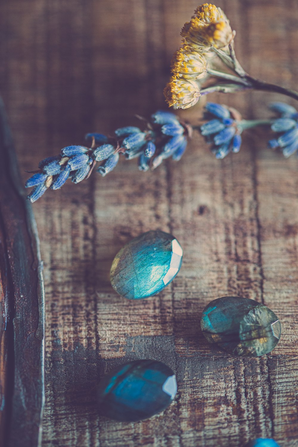 blue and white flower on brown wooden table