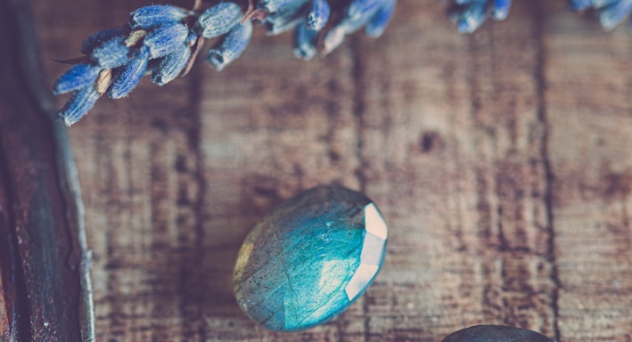 blue and white flower on brown wooden table