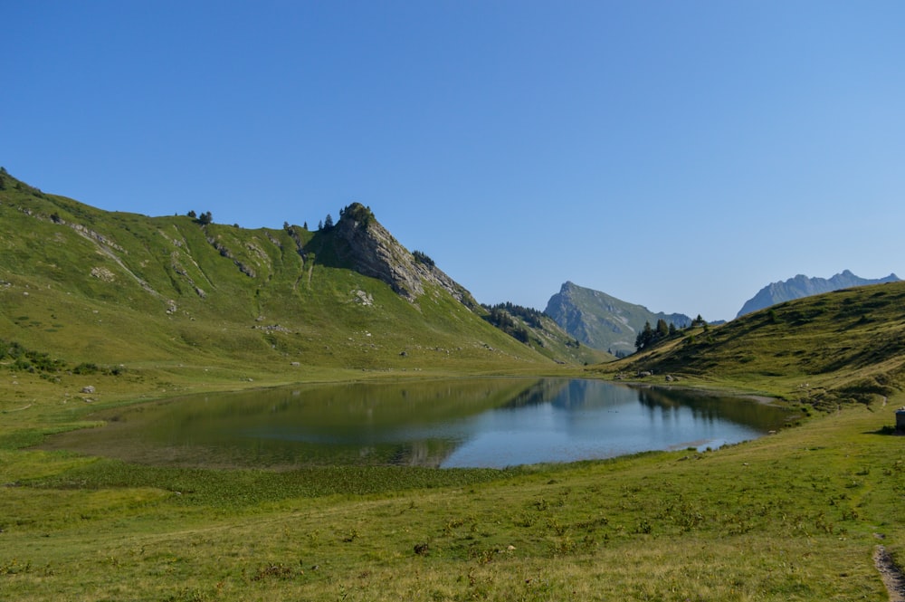 green grass field near lake under blue sky during daytime