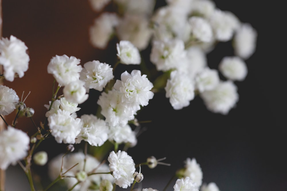 チルトシフトレンズの白い花