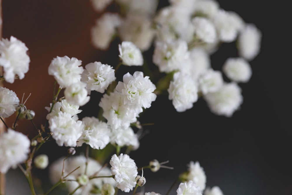 white flowers in tilt shift lens