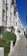 An elegant row of white, multi-story townhouses with large windows, aligned perfectly along a clean, paved sidewalk. Manicured green hedges are neatly placed in front of each building, and the sky is clear and blue, giving the street a bright and inviting appearance.