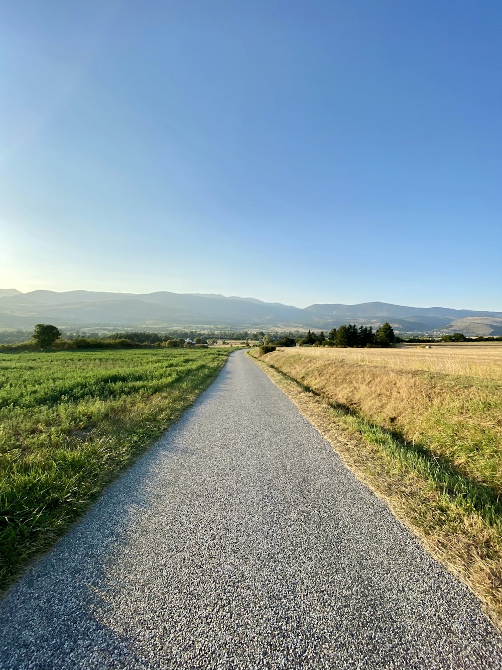 gray asphalt road between green grass field under blue sky during daytime