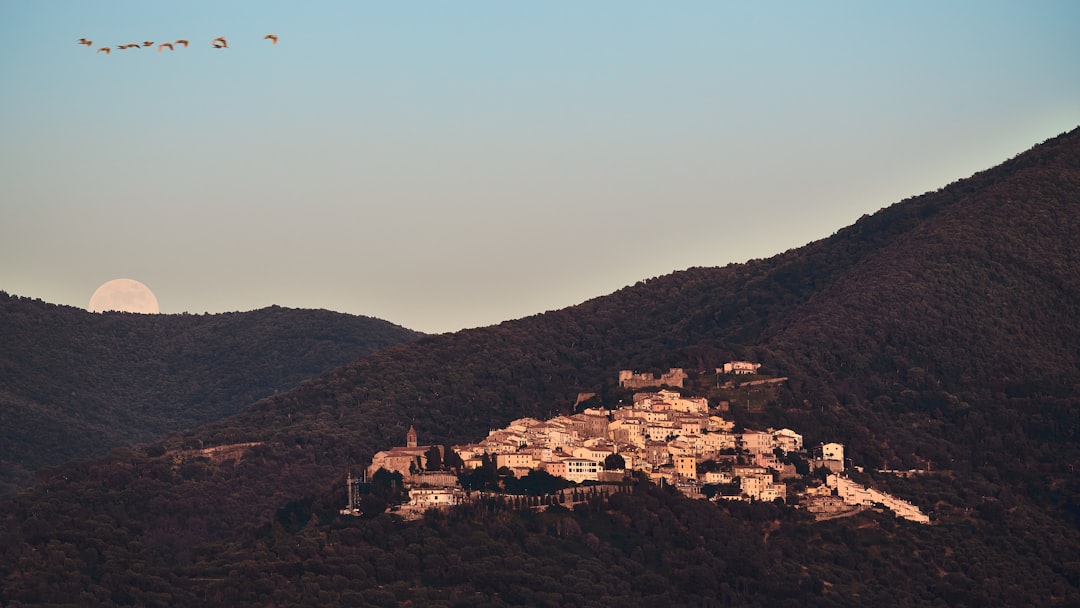 aerial view of city during daytime