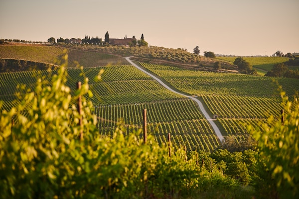 San Gimignano & Chianti Classico