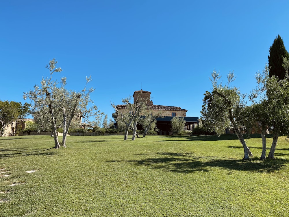 brown concrete building on green grass field under blue sky during daytime