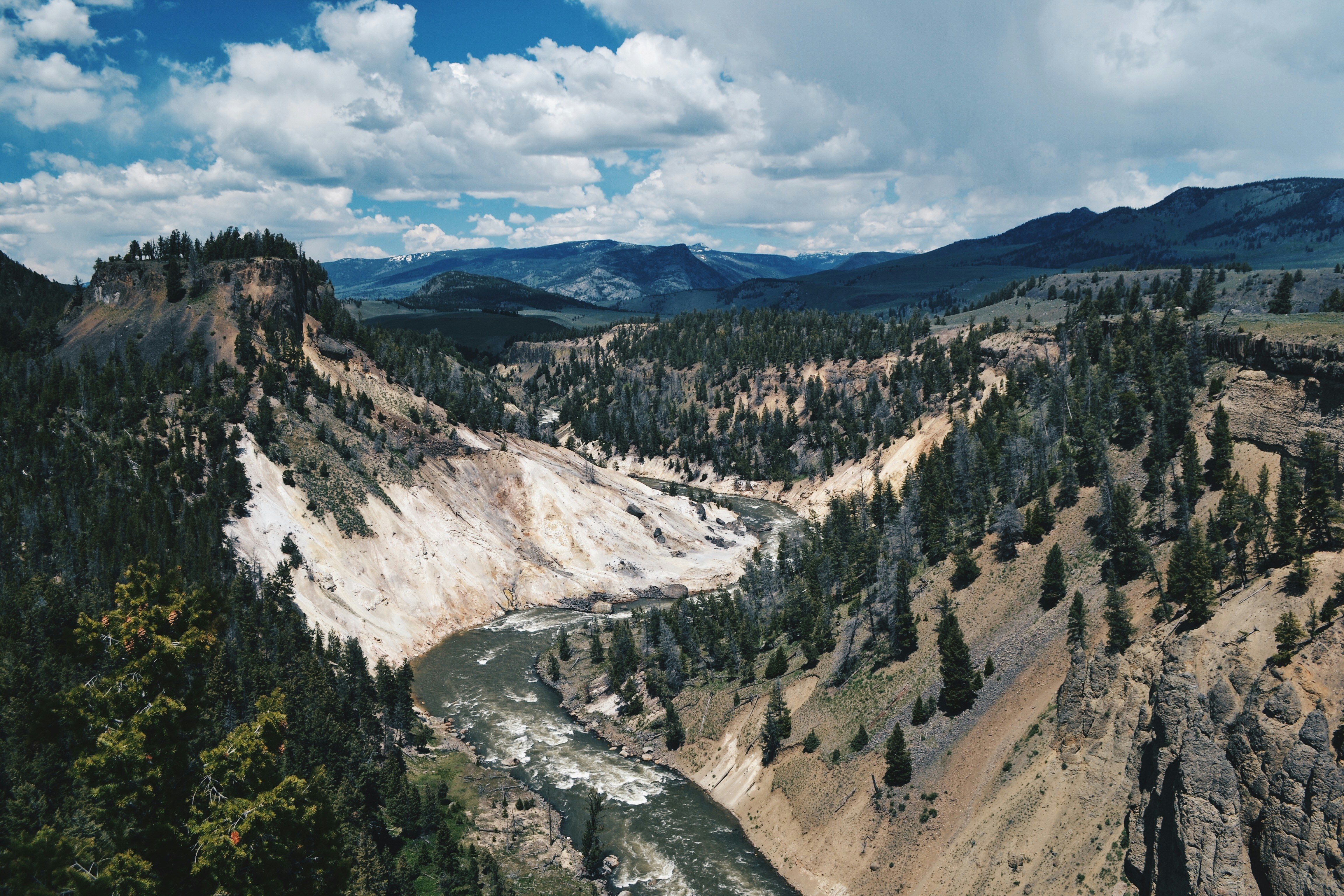 green trees on brown rocky mountain under blue and white cloudy sky during daytime