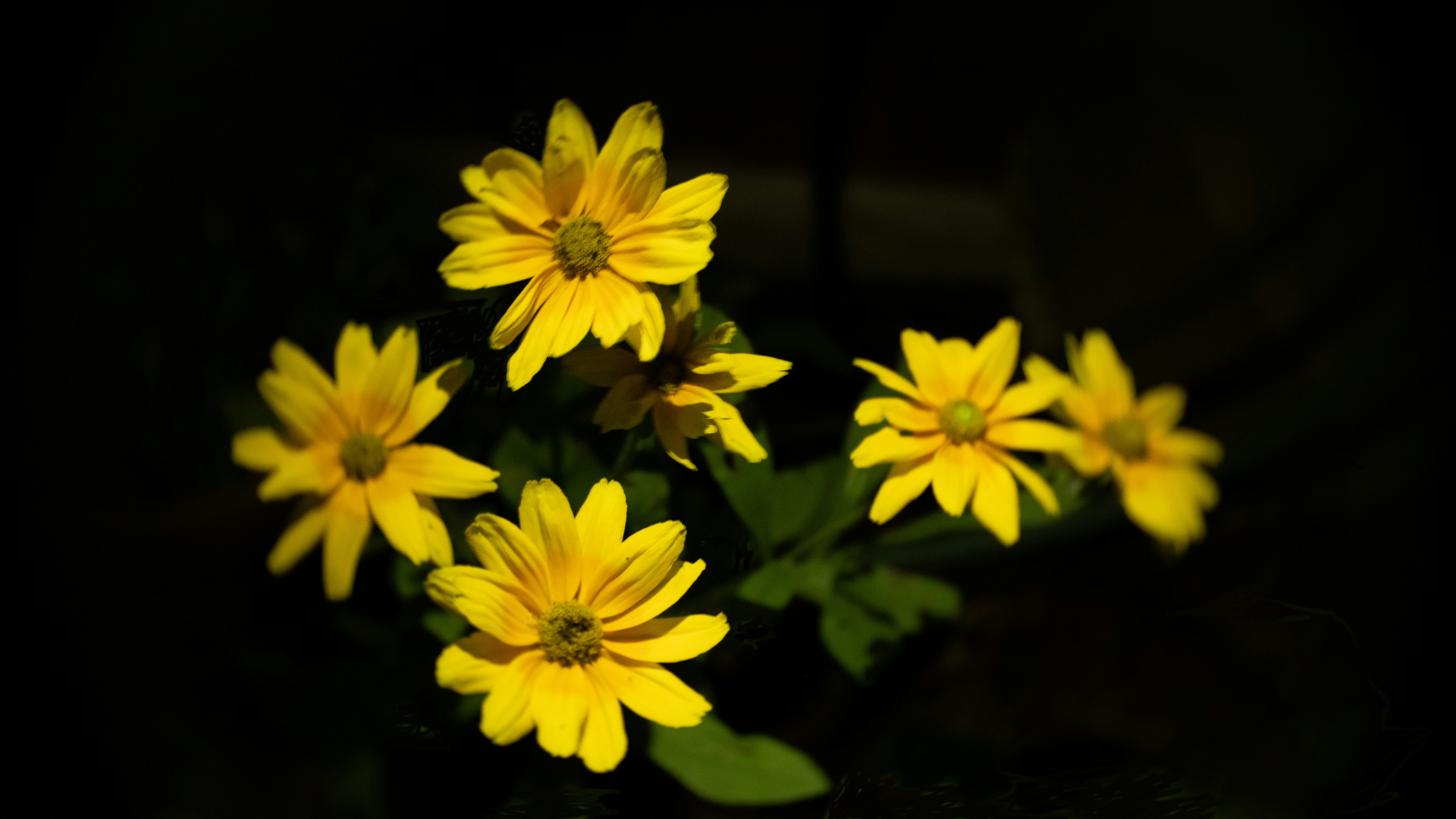 Photo by dscrimager