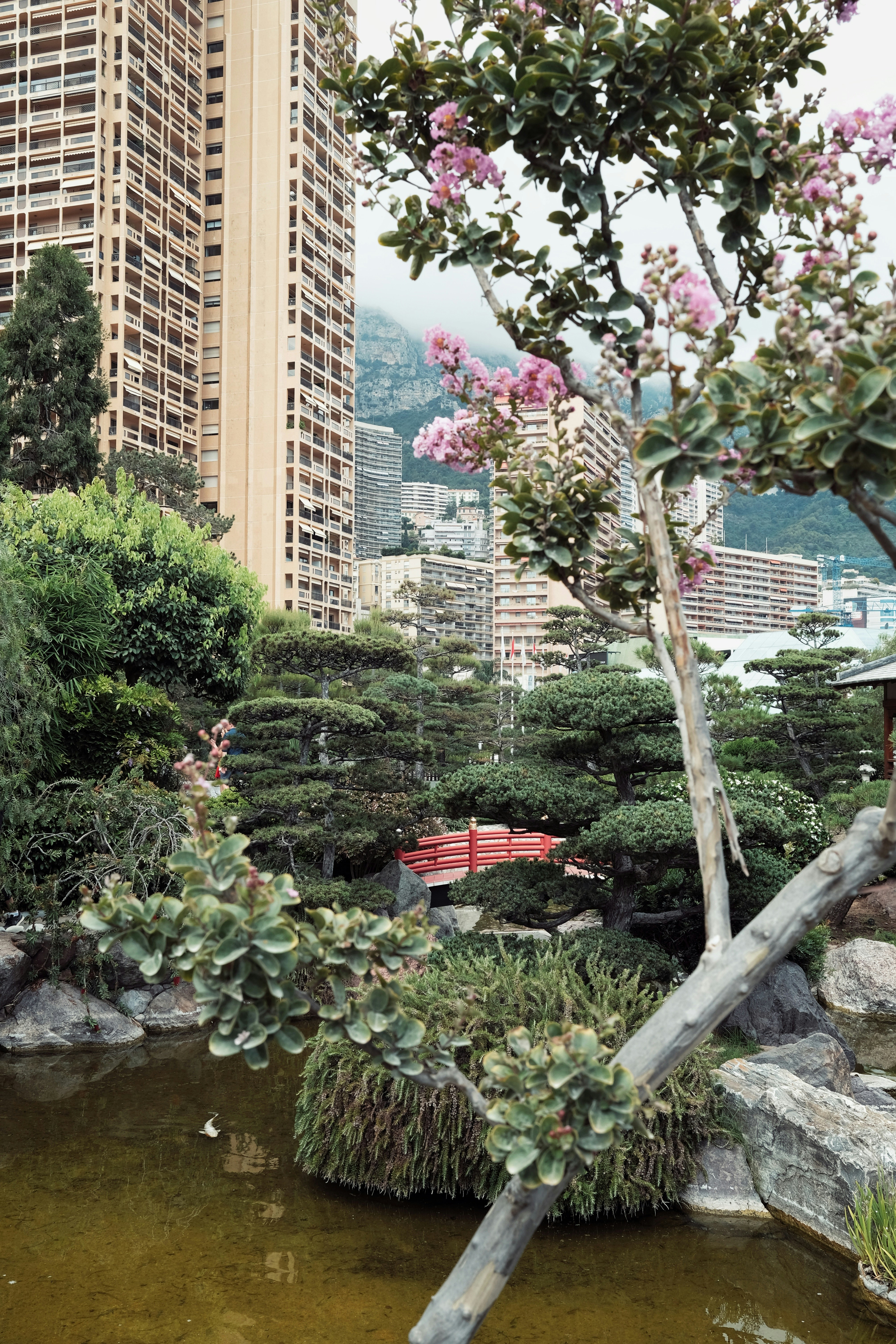 Green trees near high rise buildings during daytime photo – Free Monte ...