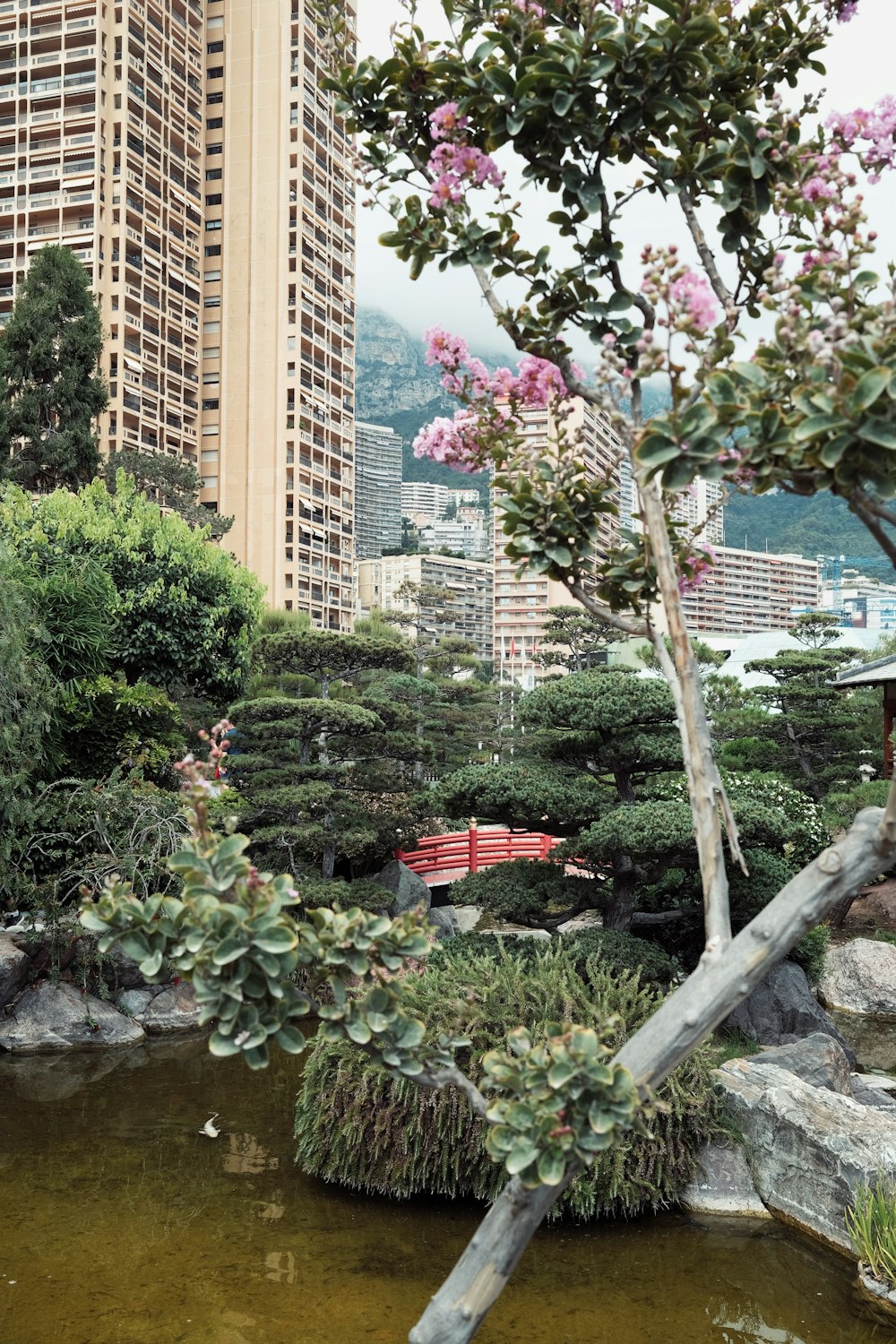 green trees near high rise buildings during daytime