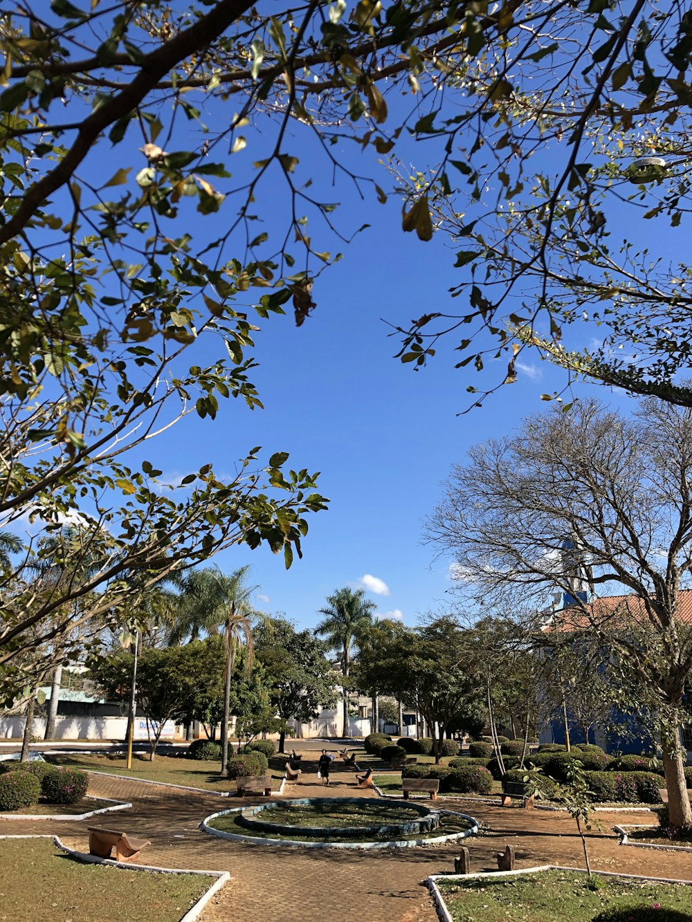 brown and white concrete building near green trees under blue sky during daytime