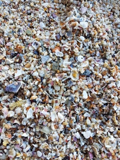 Close-up of colorful búzios shells spread on an ornate cloth for reading.