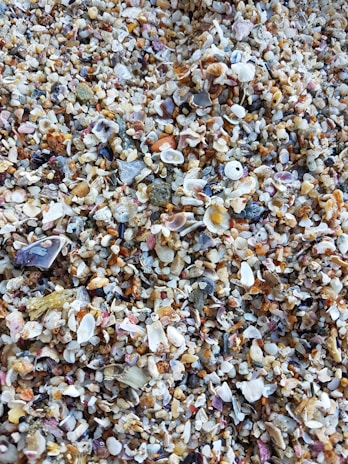 Close-up of colorful búzios shells spread on an ornate cloth for reading.
