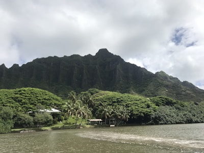 A scenic view of the lush landscapes in Bajo Baudó, Chocó.
