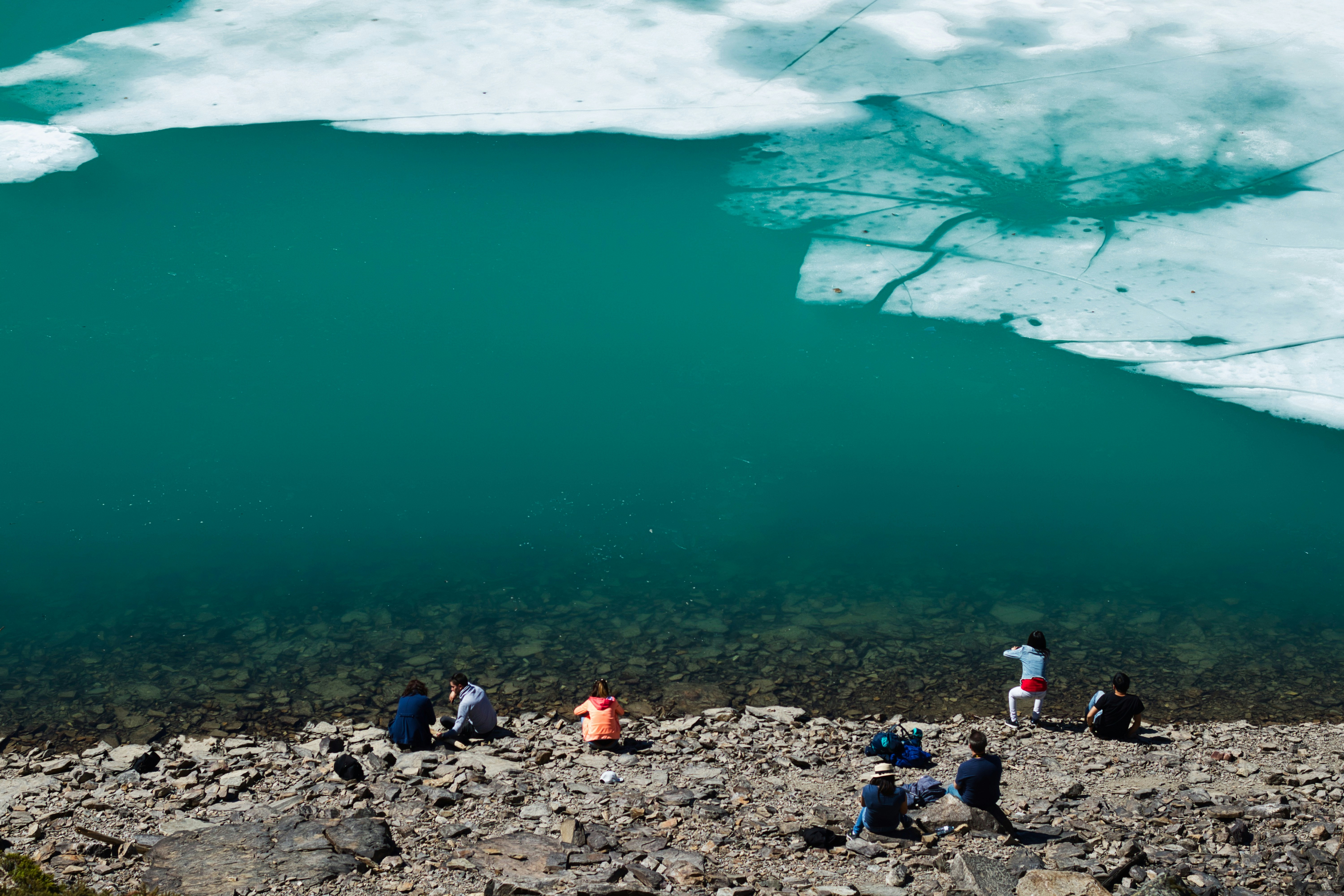 people standing on rocky shore during daytime