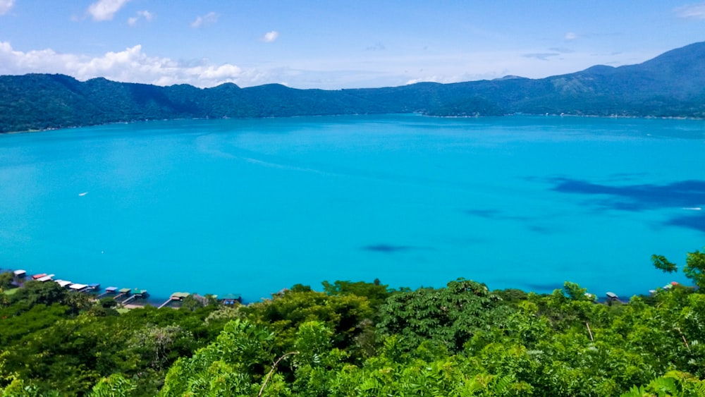 昼間の青空の下、青い海辺の緑の木々