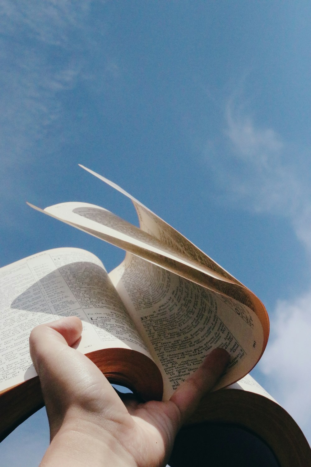 a person holding a book up in the air