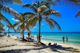 people on beach during daytime