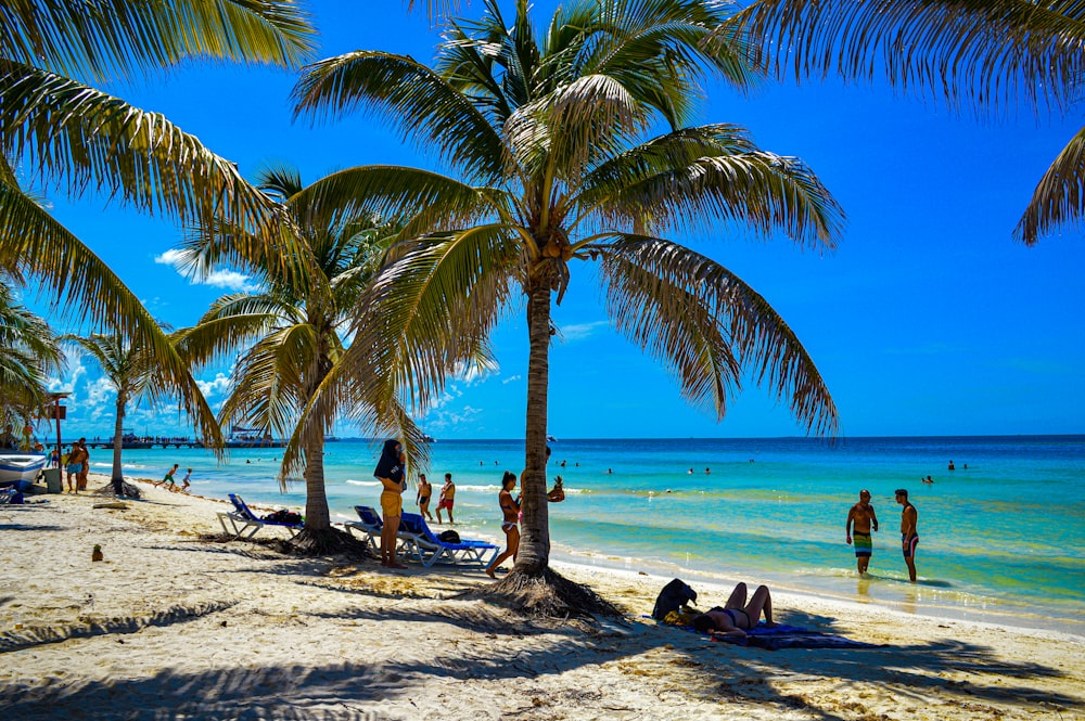 people on beach during daytime