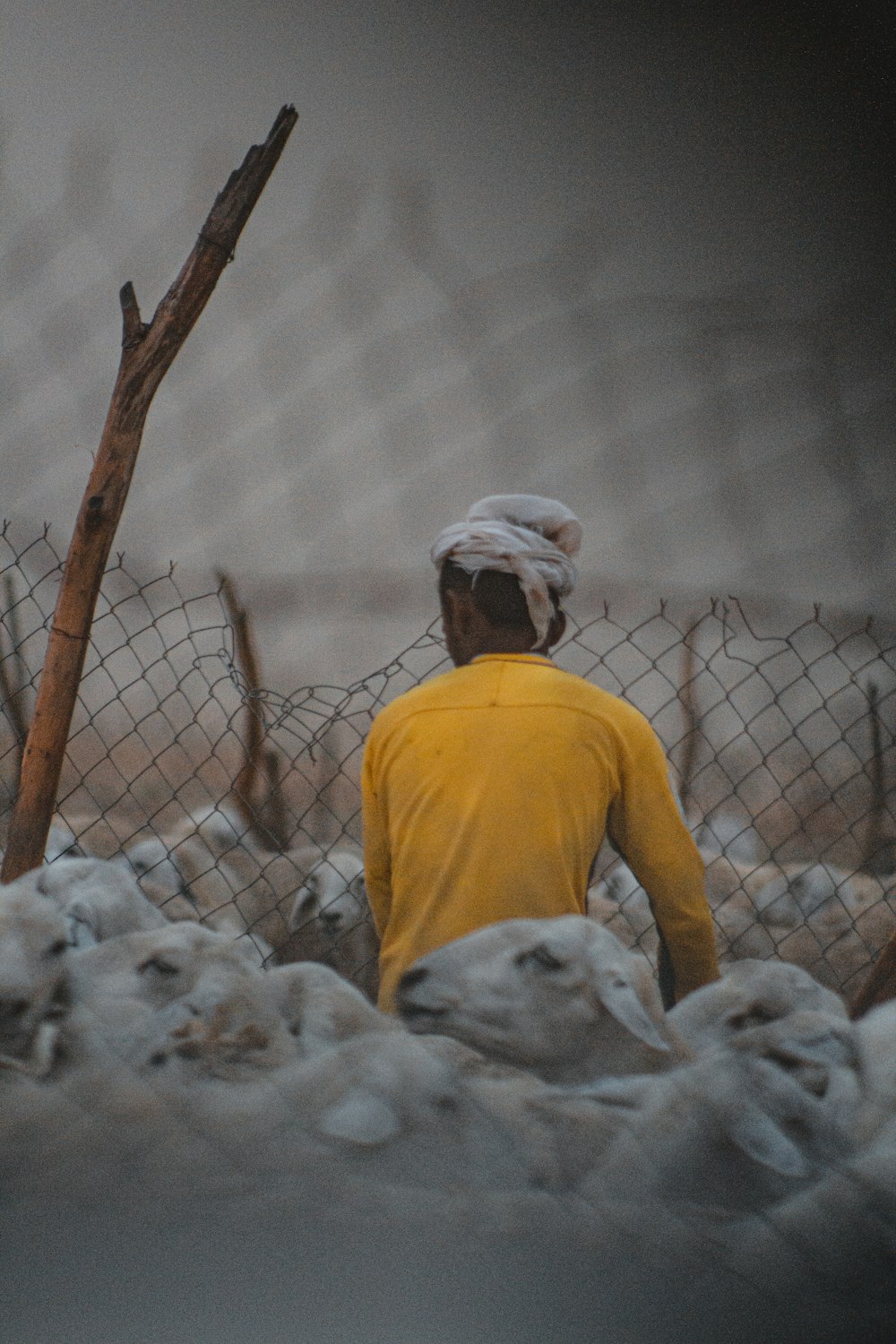 man in yellow crew neck t-shirt standing beside gray metal fence during daytime