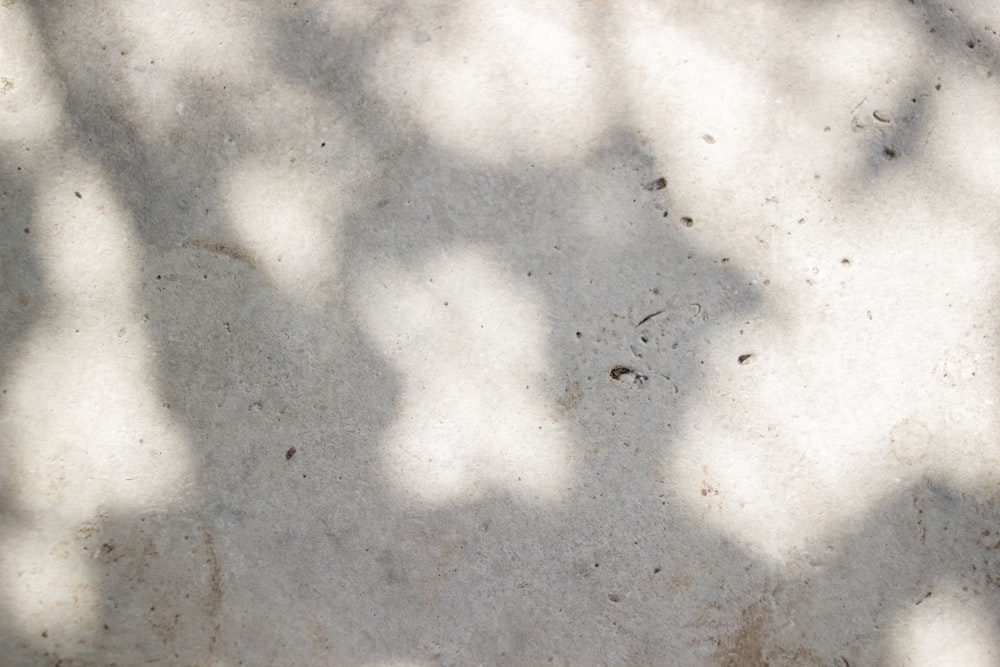 the shadow of a person holding a cell phone